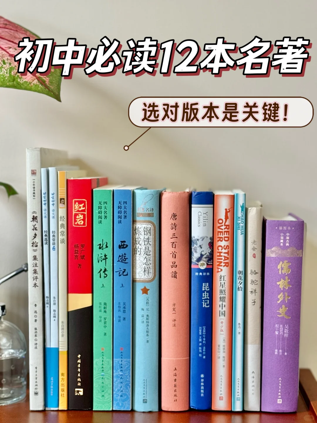 2024级新换水🔥初中必读12本名著版本推荐