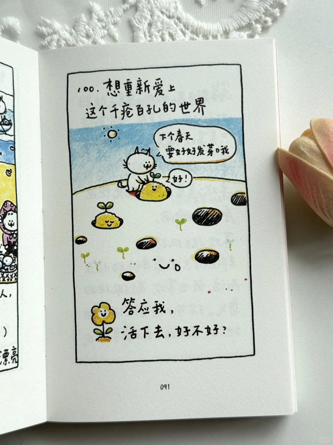太太太治愈了🌟谁能拒绝得了这本小书啊