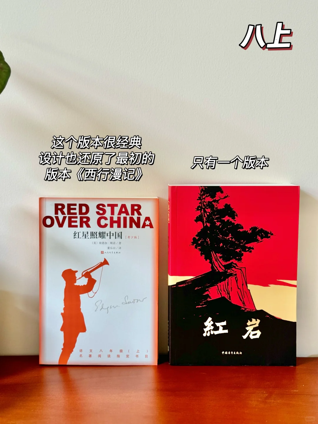 2024级新换水🔥初中必读12本名著版本推荐