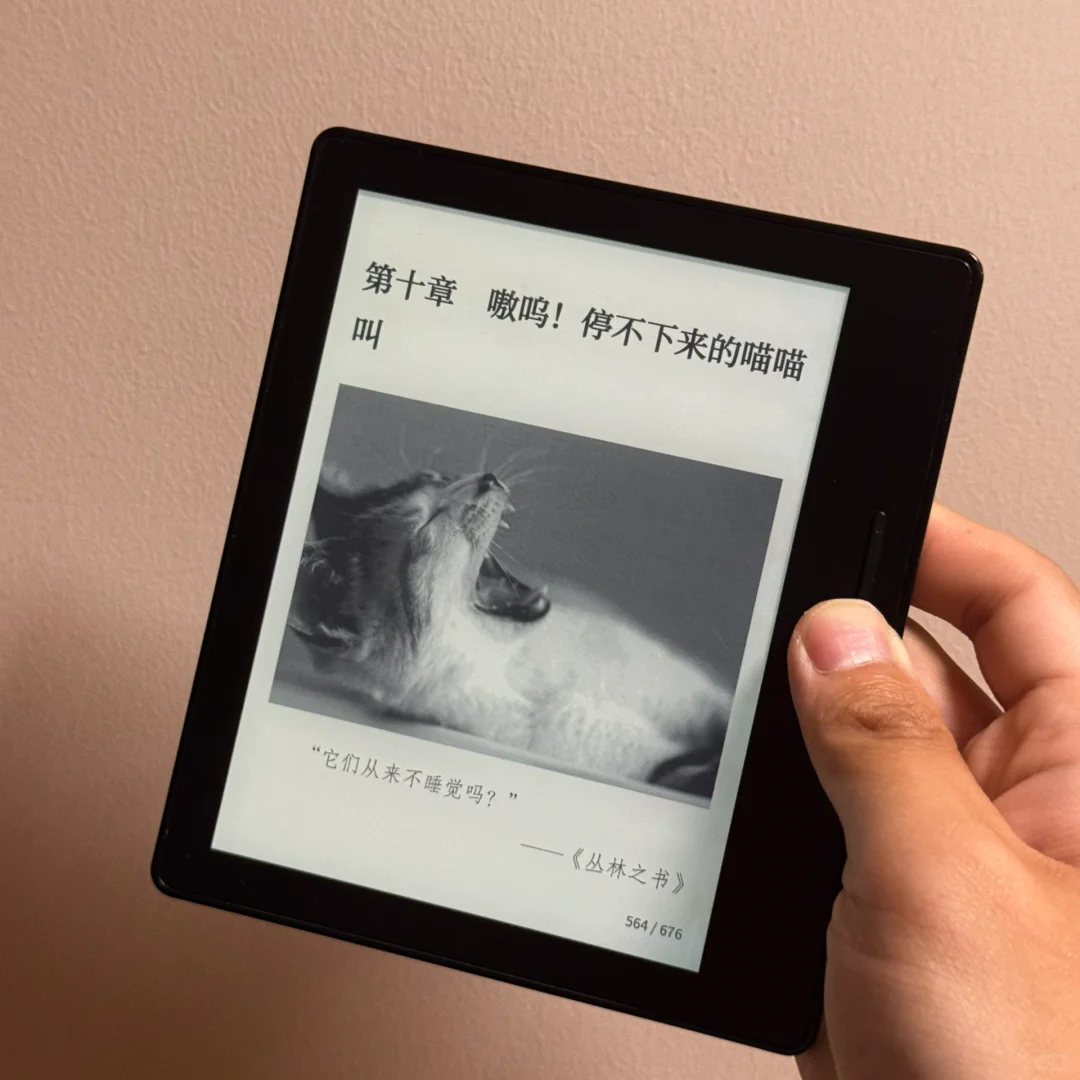 2025年，我入手了初代Kindle Oasis