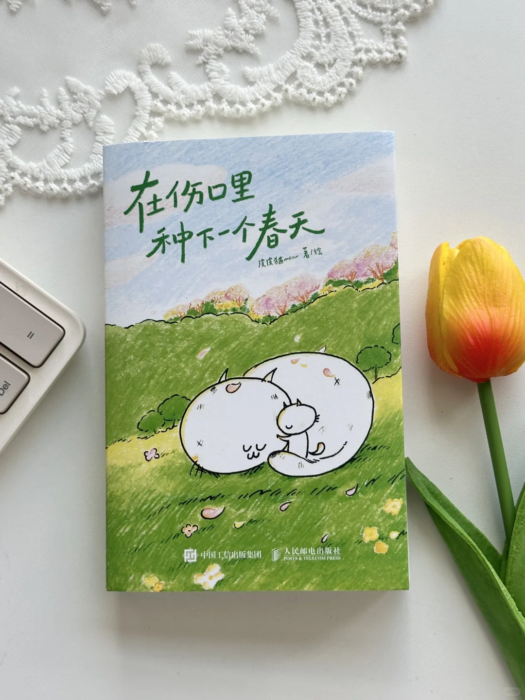 太太太治愈了🌟谁能拒绝得了这本小书啊