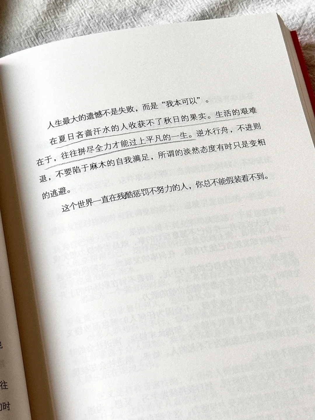 温暖到爆啊啊啊！低谷期被这本书狠狠治愈了✨