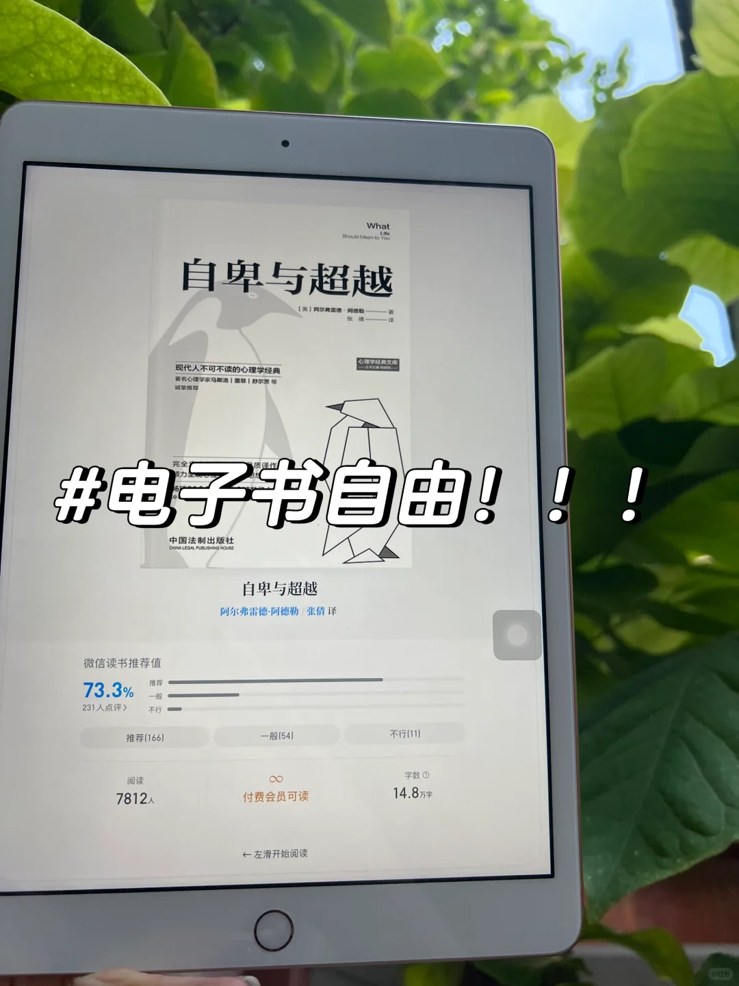 我不允许还有人不知道！！！