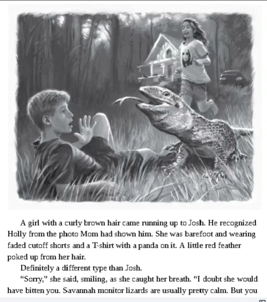 I Survived英文原版21册PDF+EPUB+MOBI电子