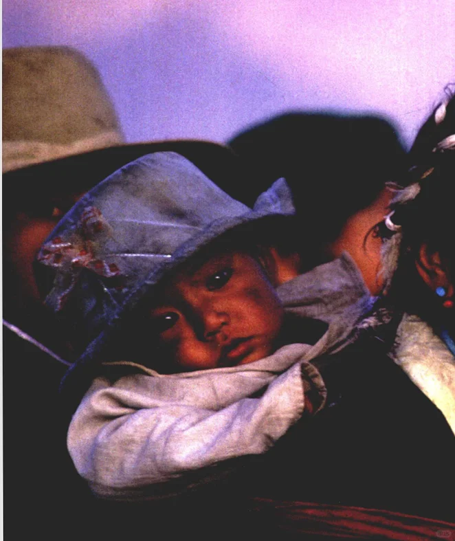 彩色的中国：跨越30年的影像历史，PDF版