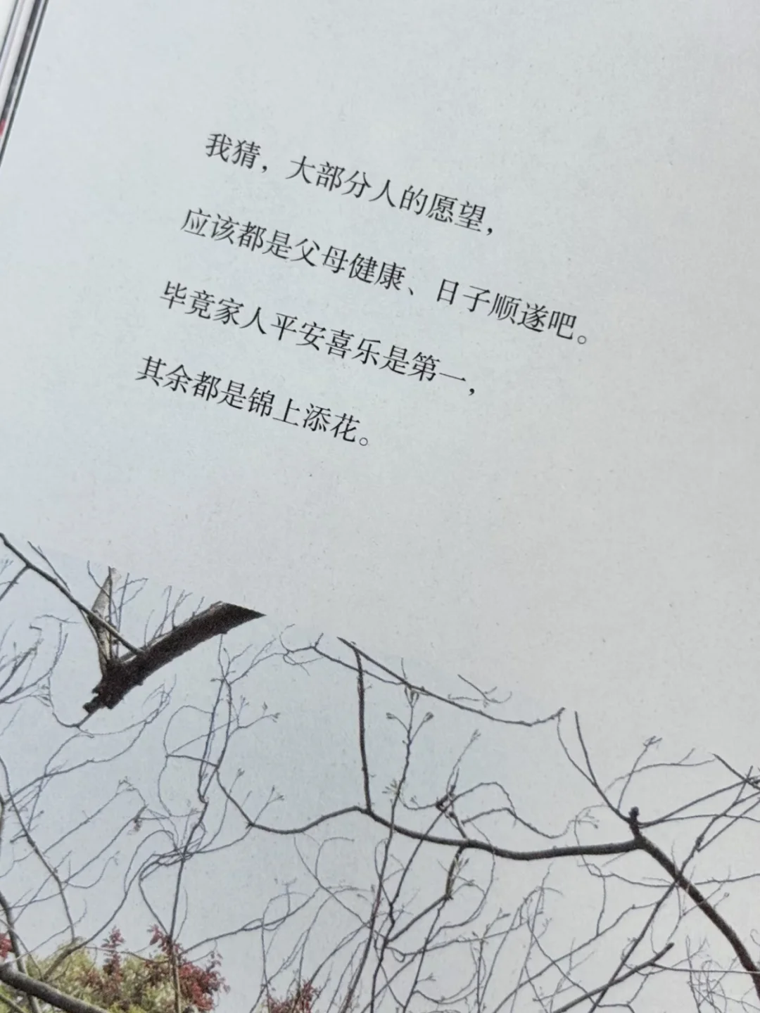 20 岁的我，如果早点读到这本书就好了📚