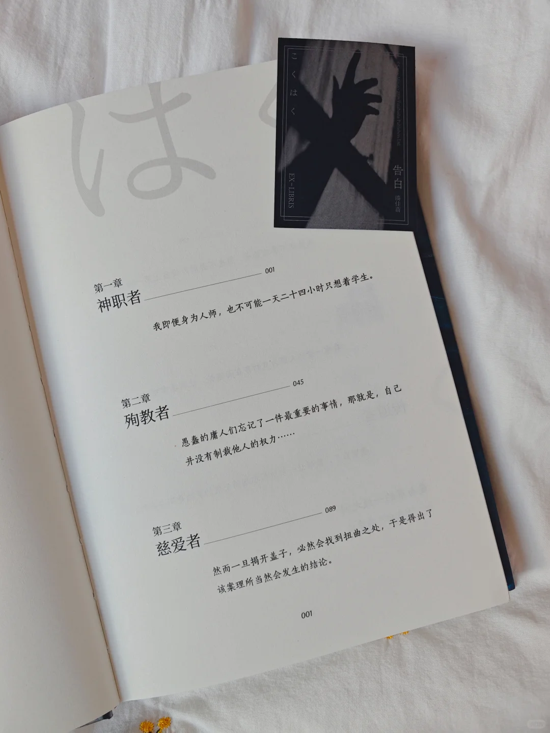 后悔没有早点看❗开篇就是王炸💥