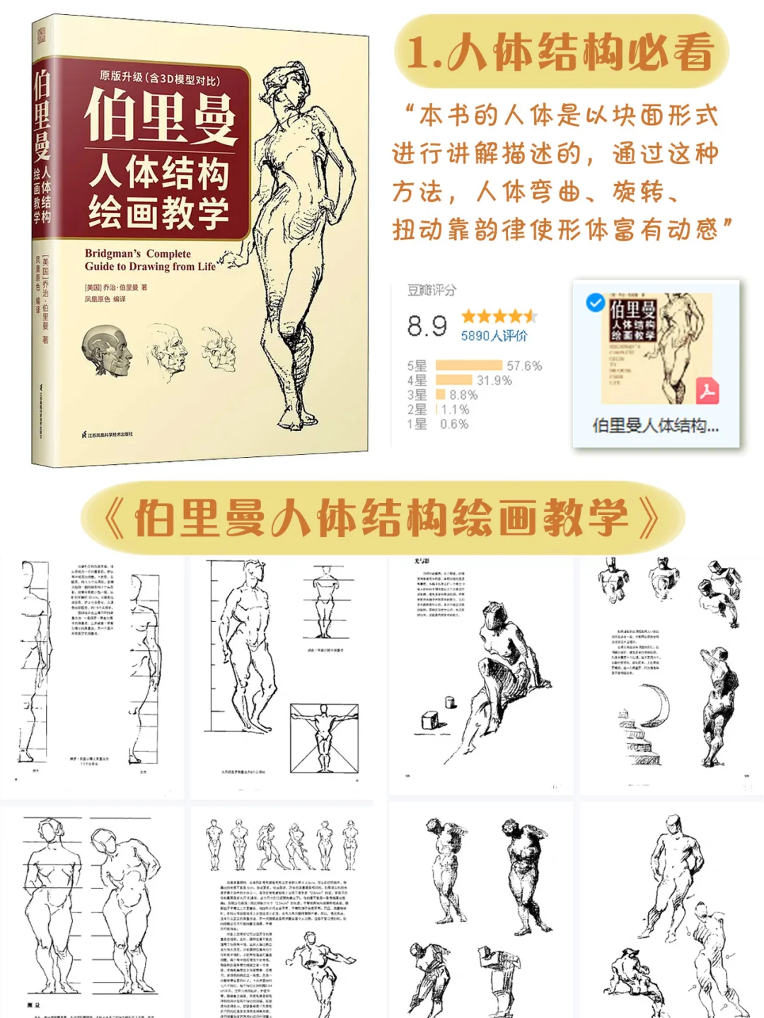 📚超实用的插画书籍推荐｜PDF