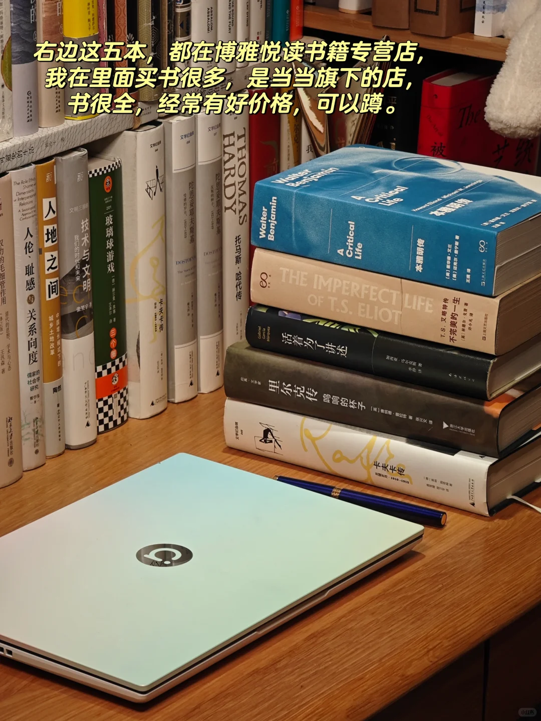 建立文学体系的九部传记