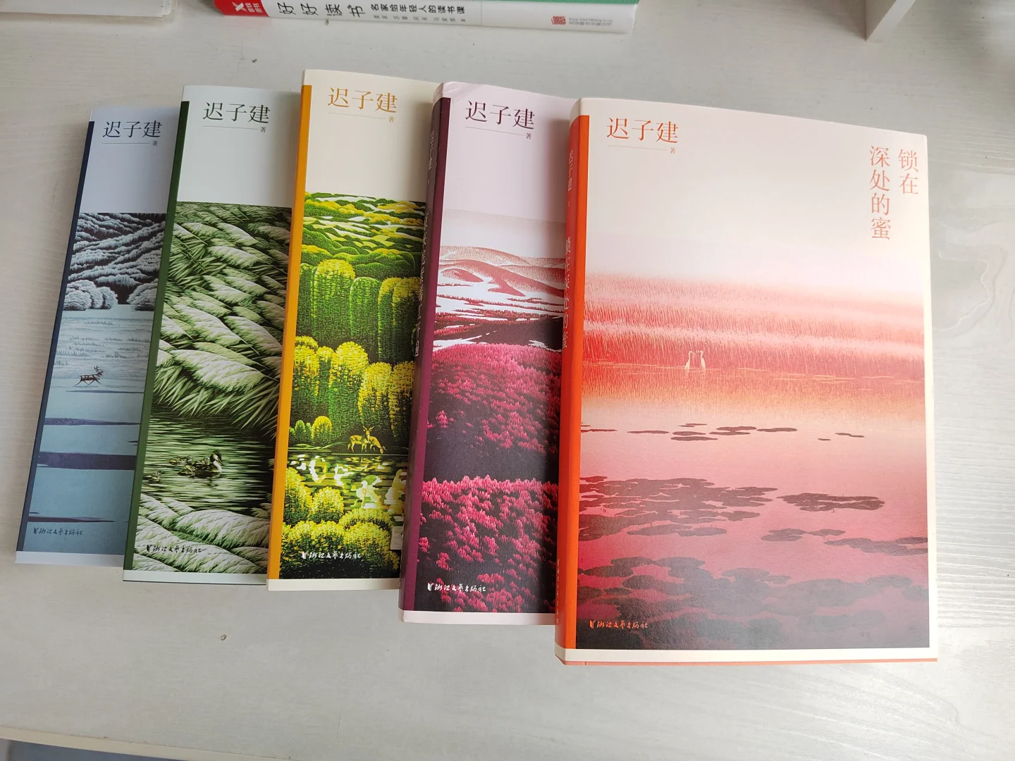 迟子建告诉年轻人的婚姻观，太太太透彻了
