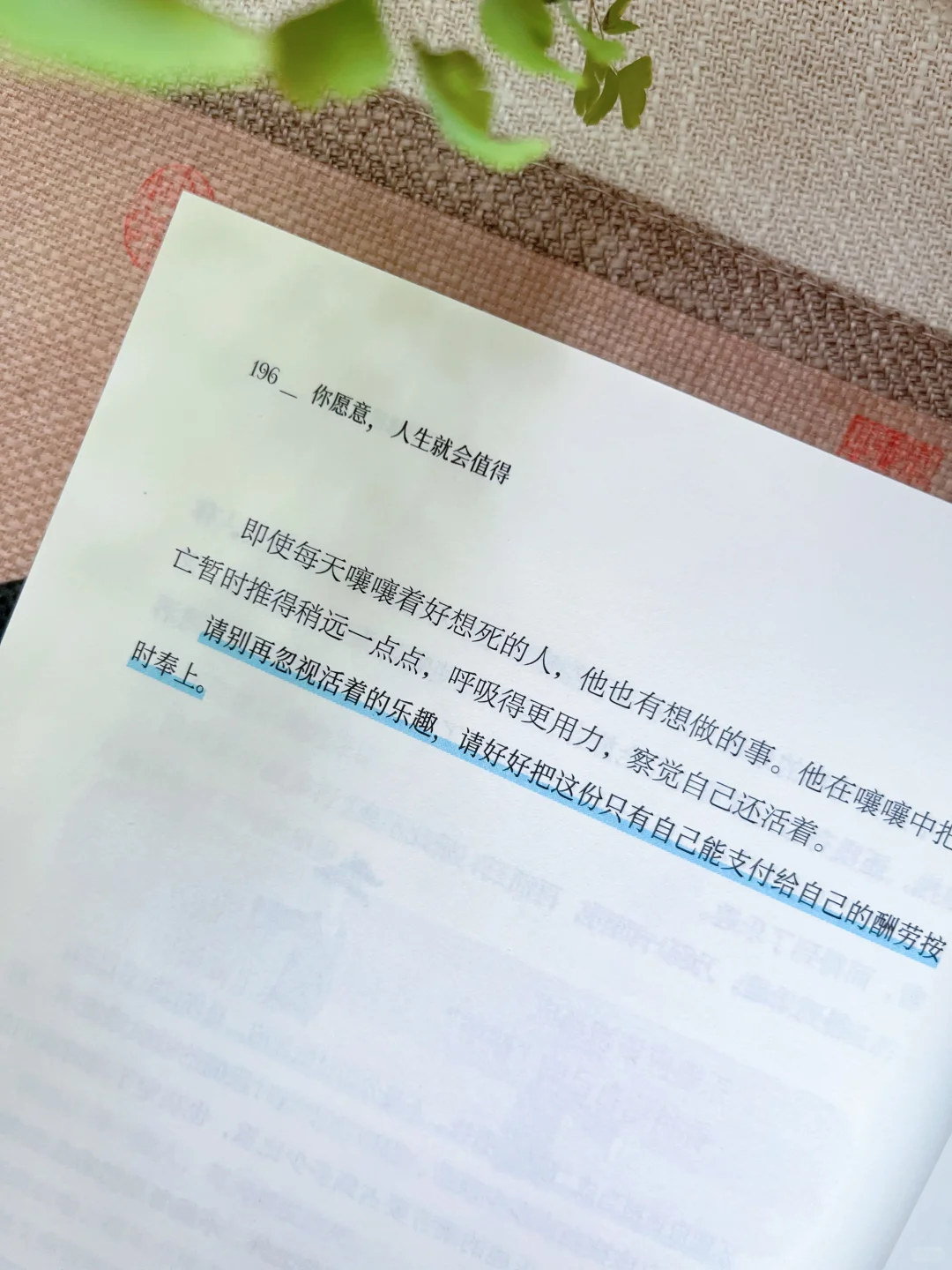 对你自己的故事好奇，是每天起床的唯一理由