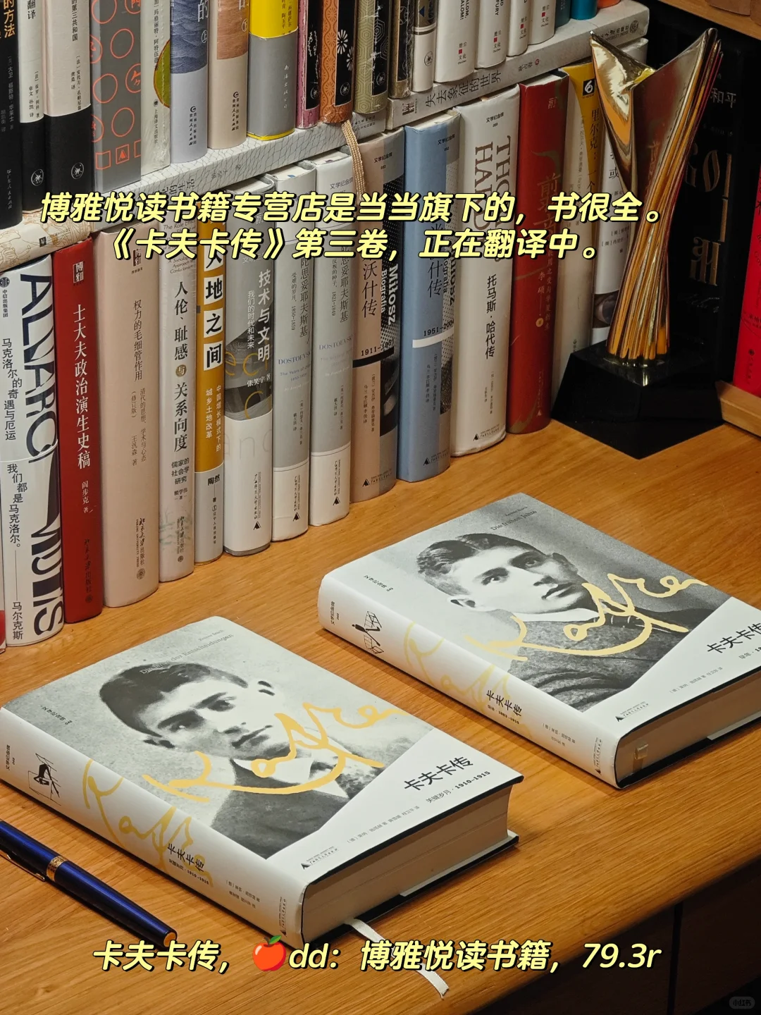 建立文学体系的九部传记