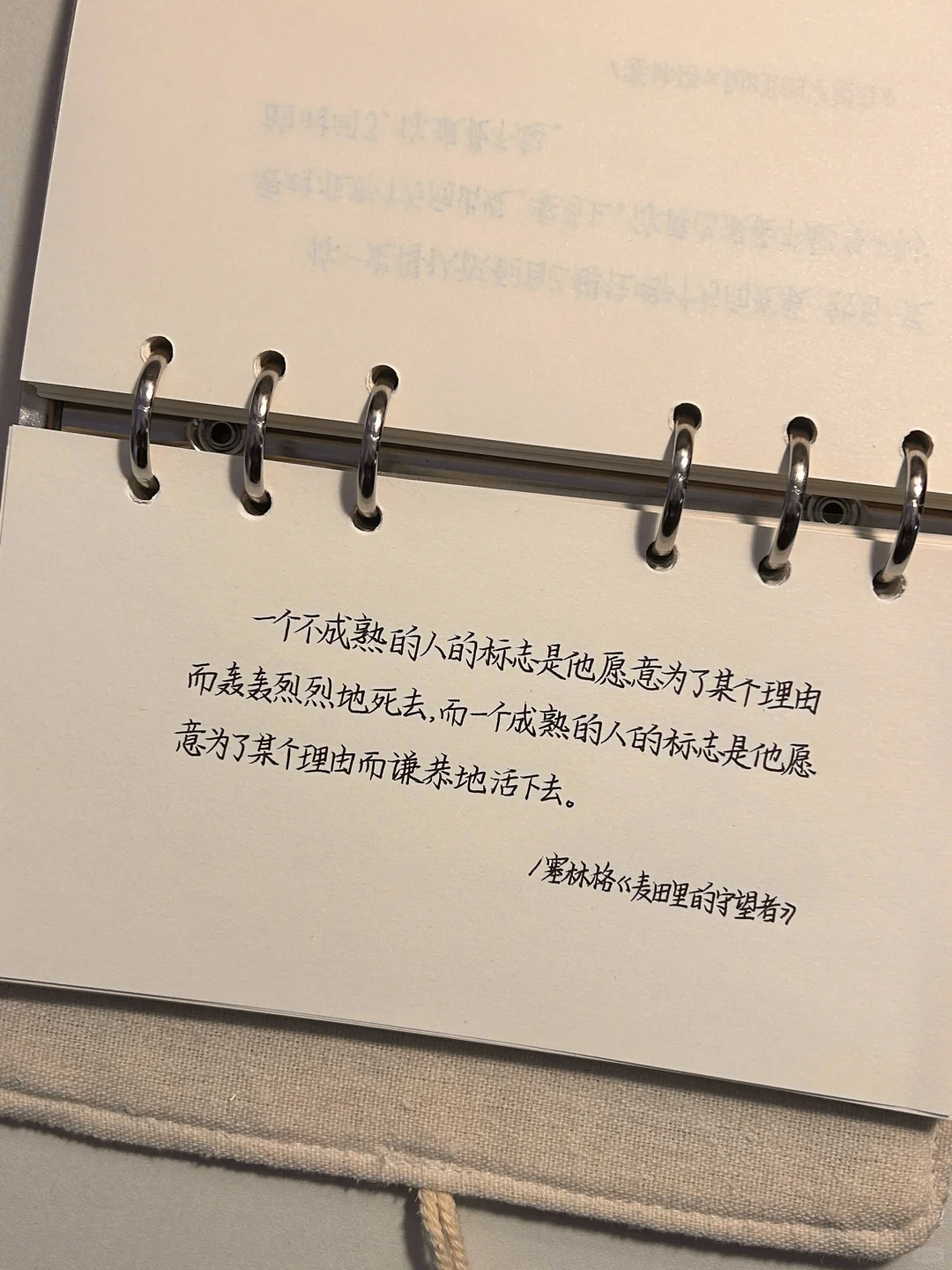 《麦田里的守望者》很喜欢的一段话：