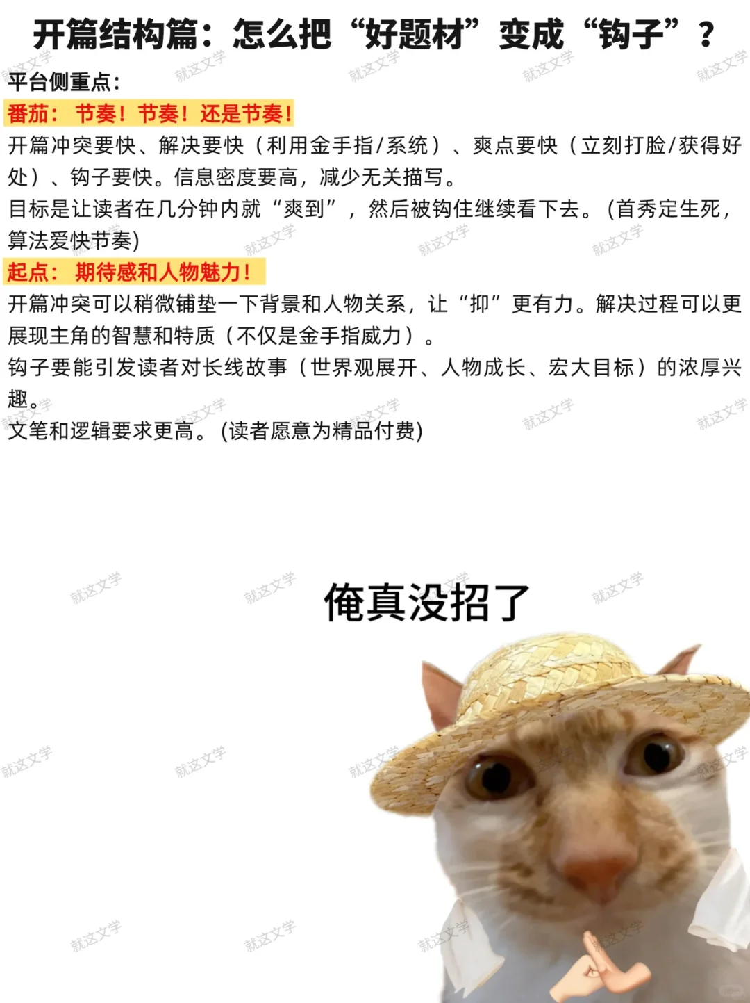 开篇想火？两大平台的“爆款金钥匙”总结