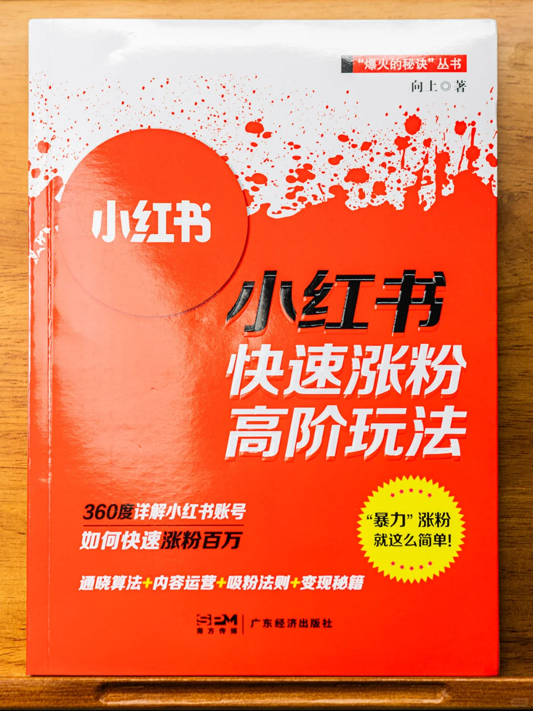 向上《小红书快速涨粉高阶玩法》干货分享
