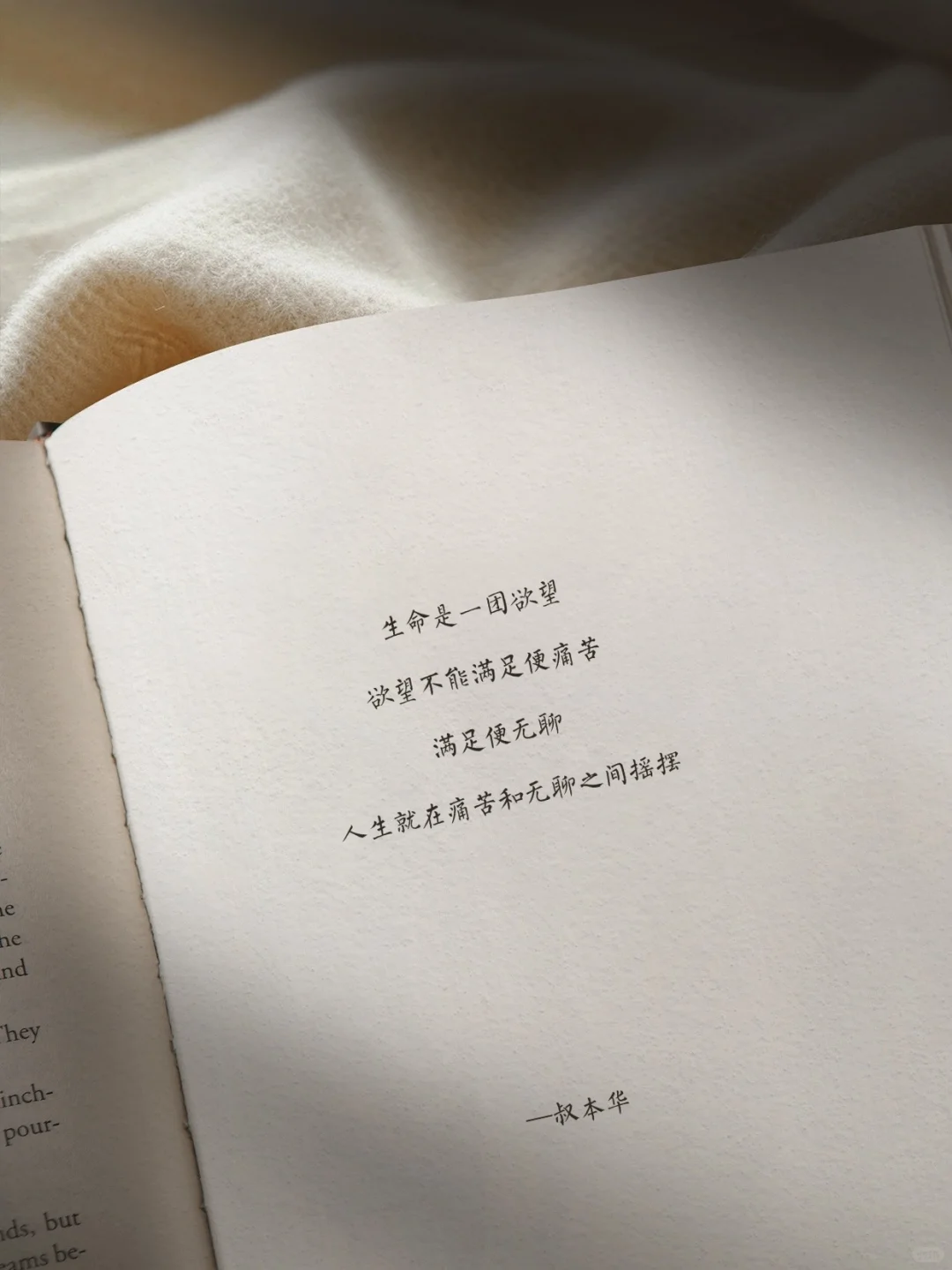 叔本华 ｜ 句句堪称经典且封神的哲学金句