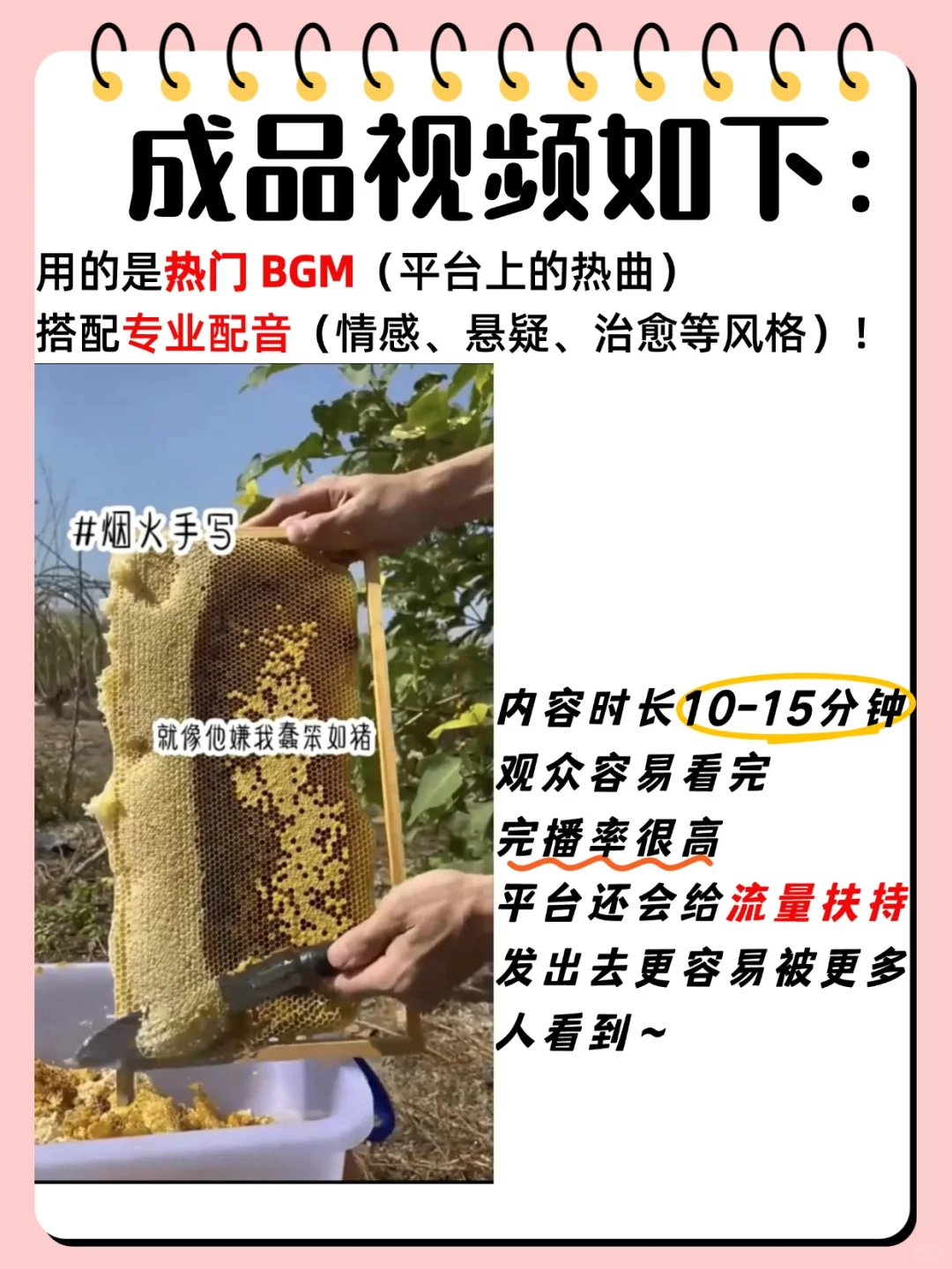 99年女生做自媒体，宅家搞💰，分享小说推