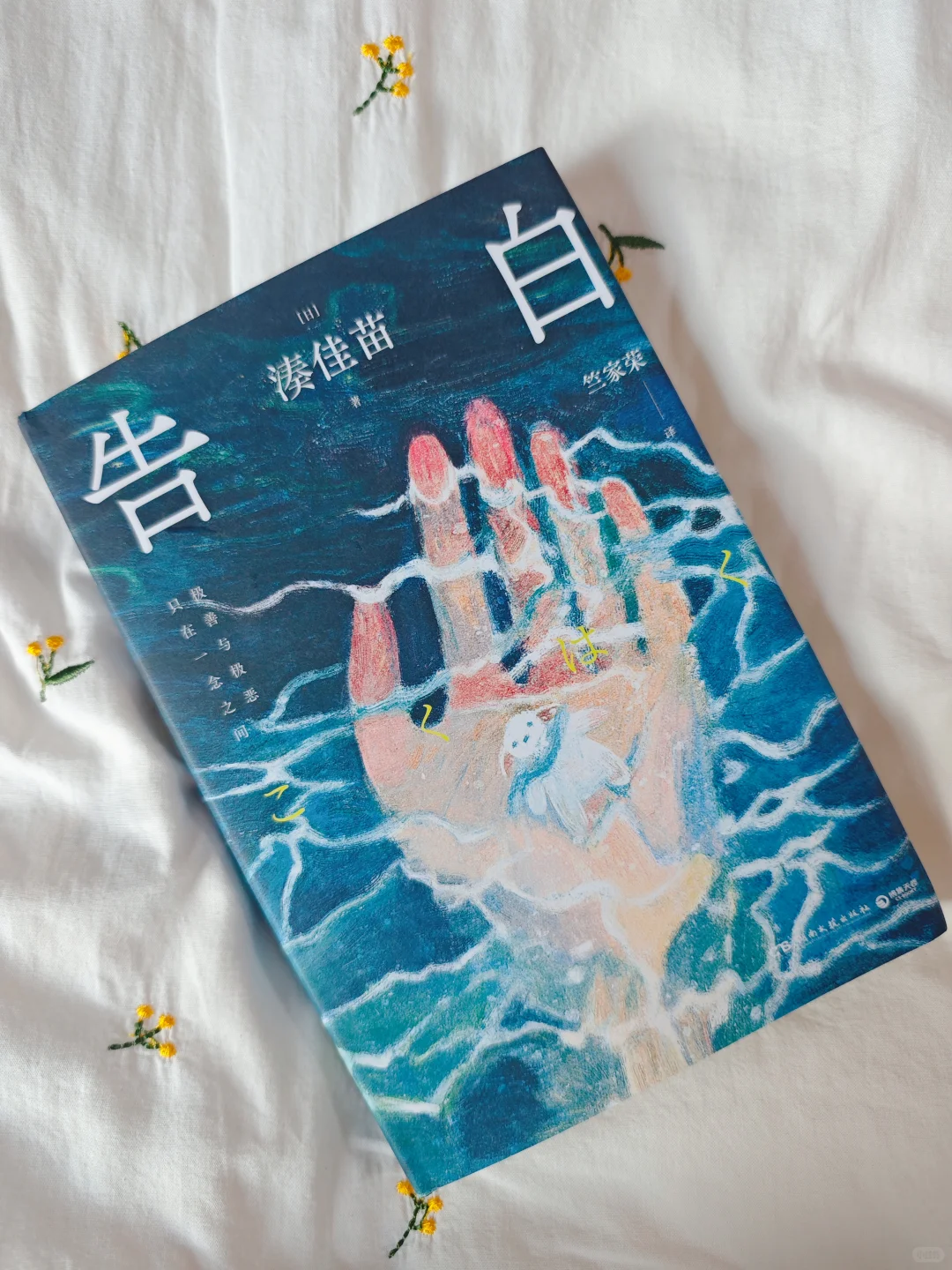 后悔没有早点看❗开篇就是王炸💥