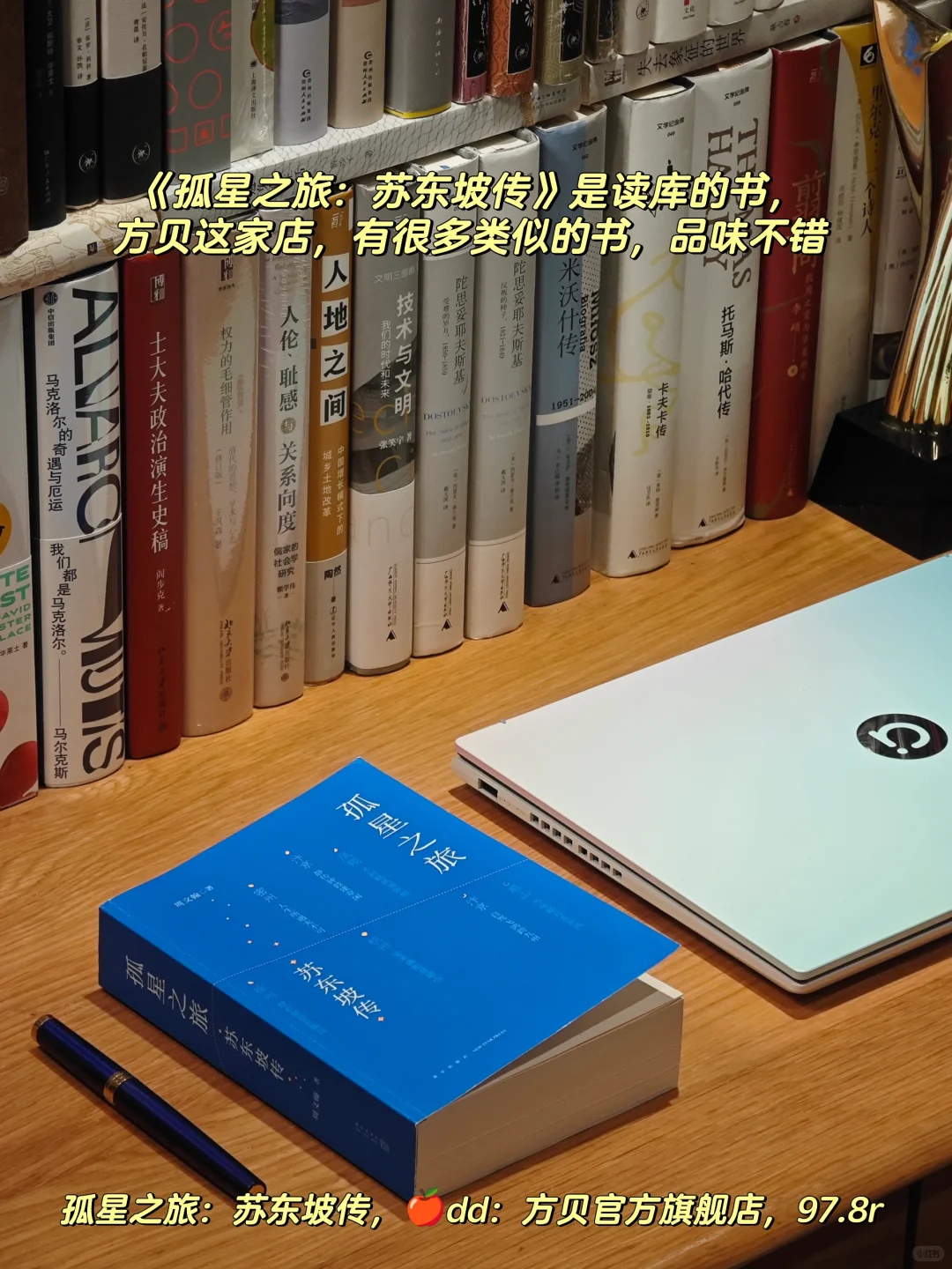 建立文学体系的九部传记