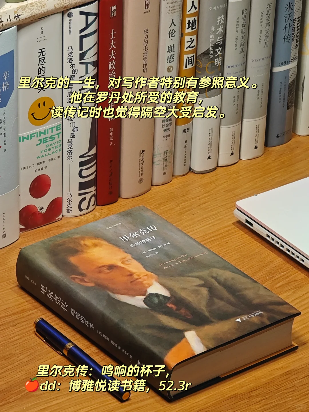 建立文学体系的九部传记