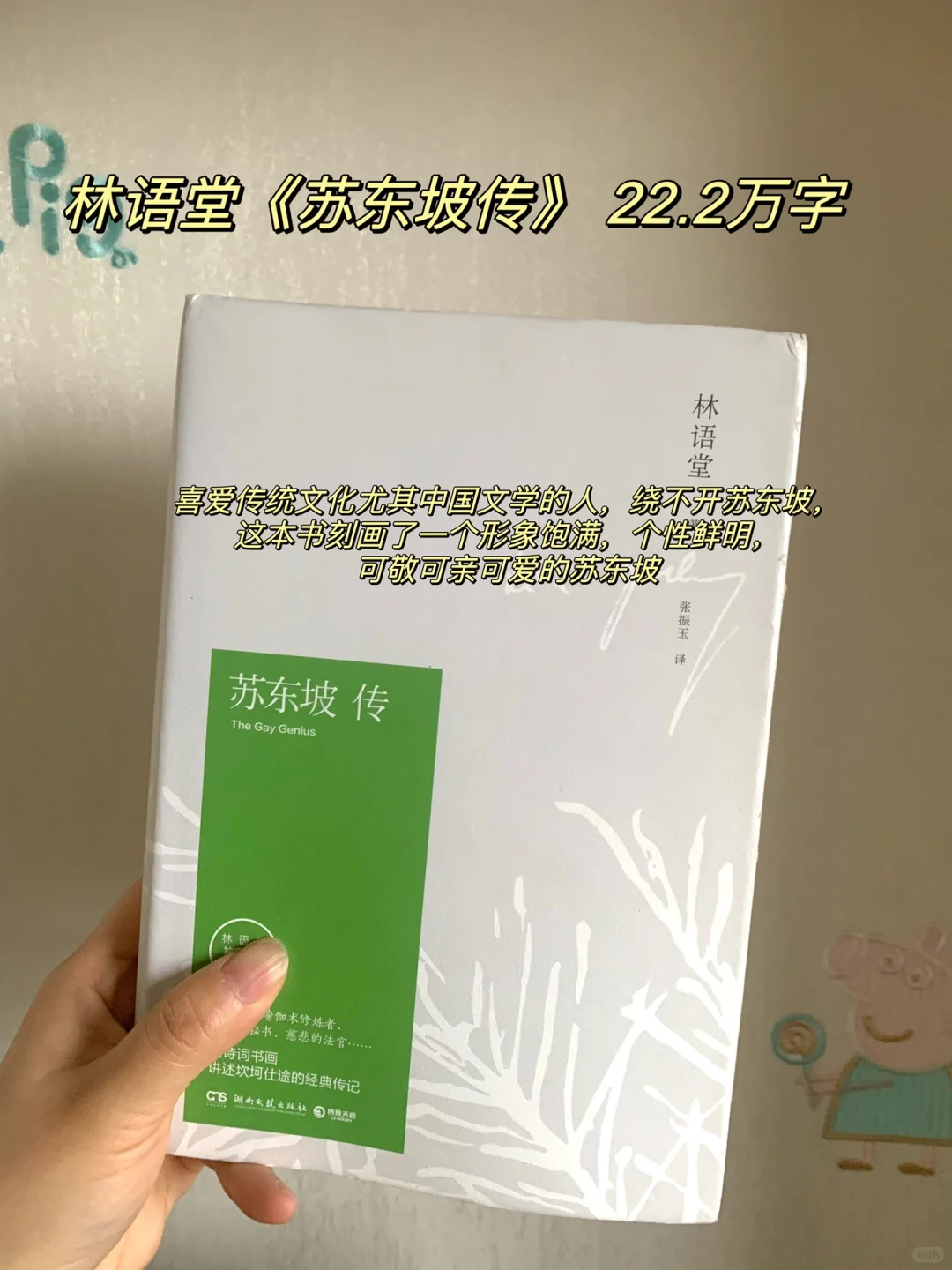 这9本书读完太上头了，不愧被称为神作啊！