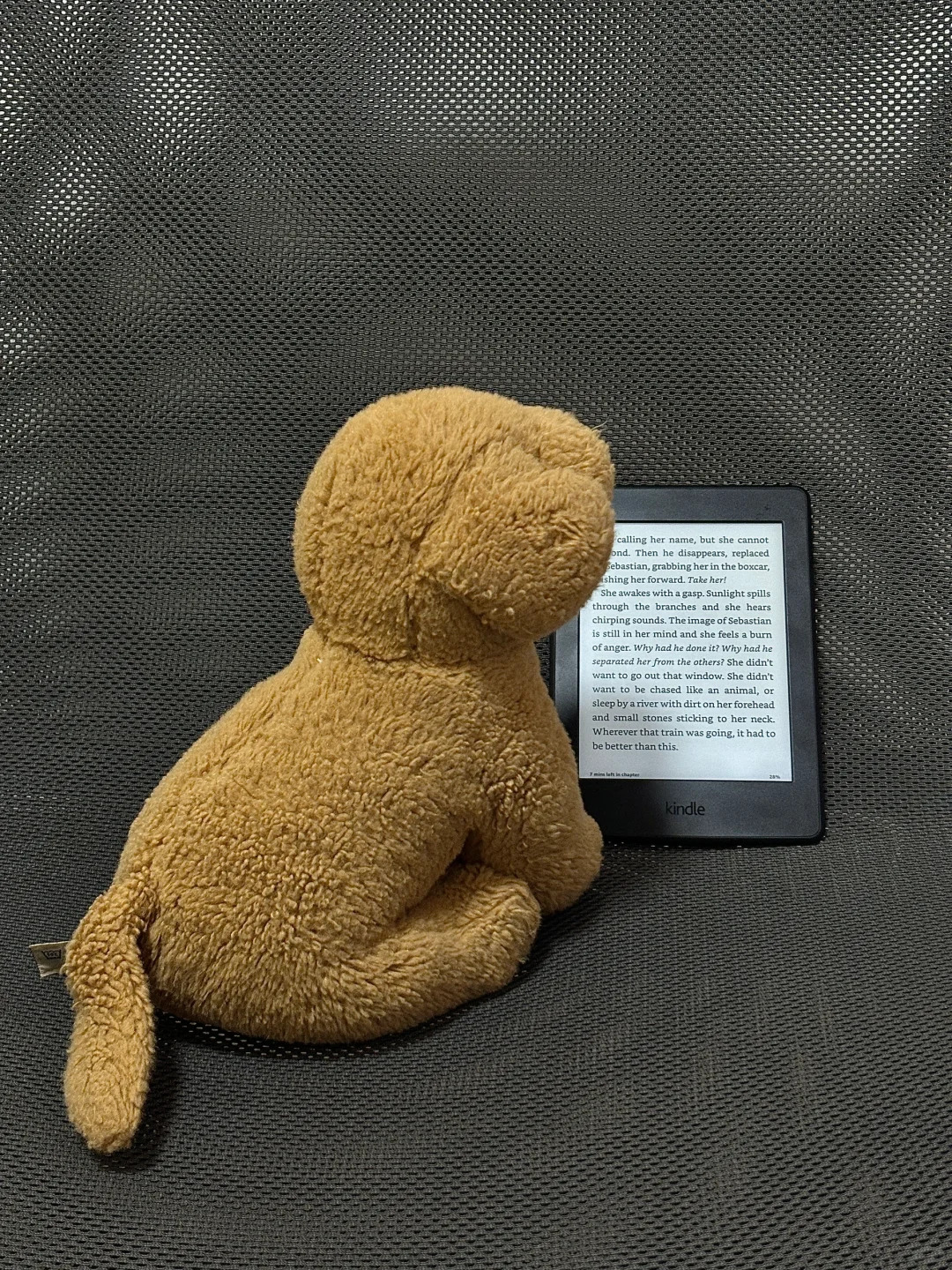 Kindle的使用场景📖✨（第二弹）