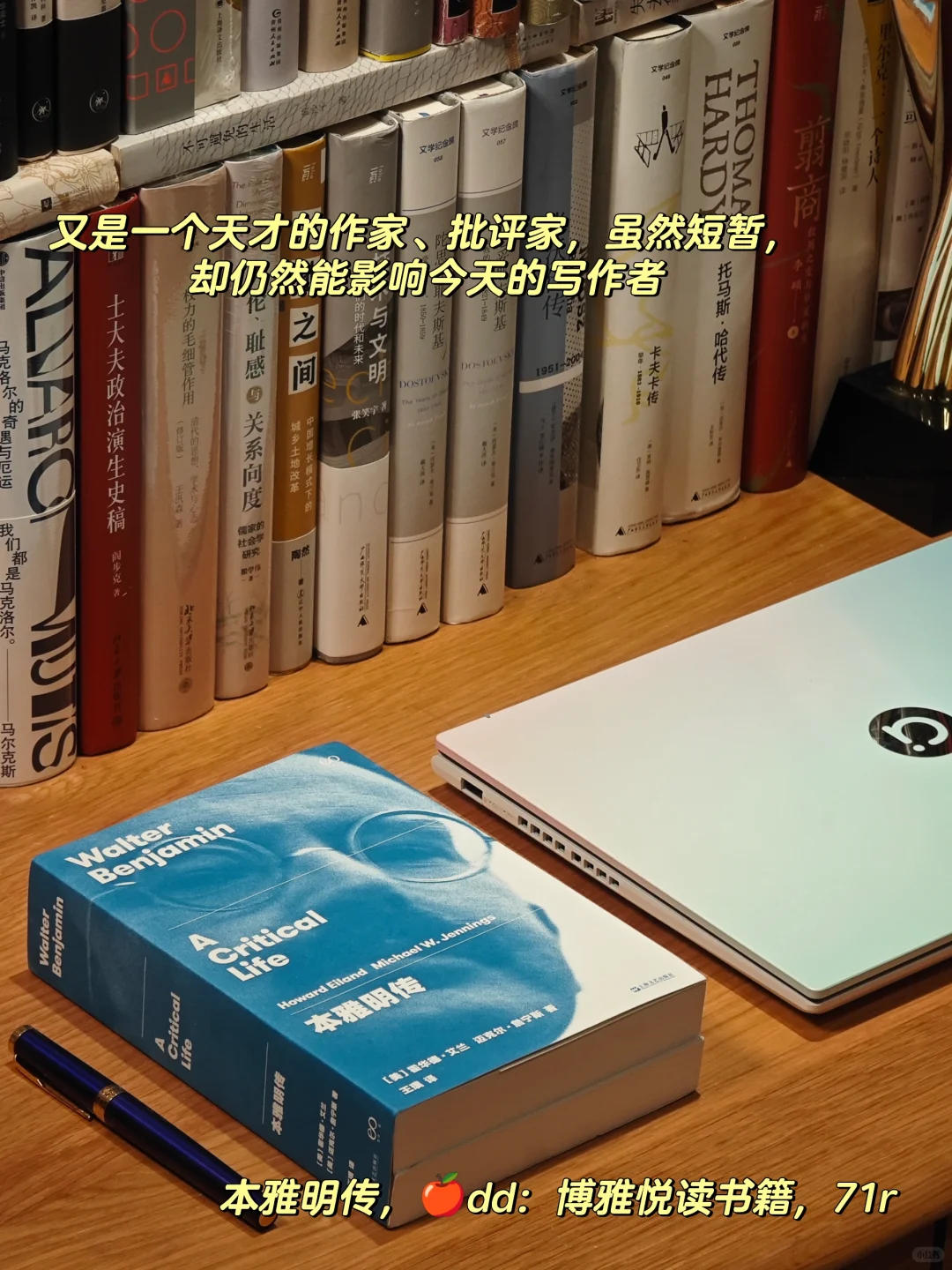 建立文学体系的九部传记