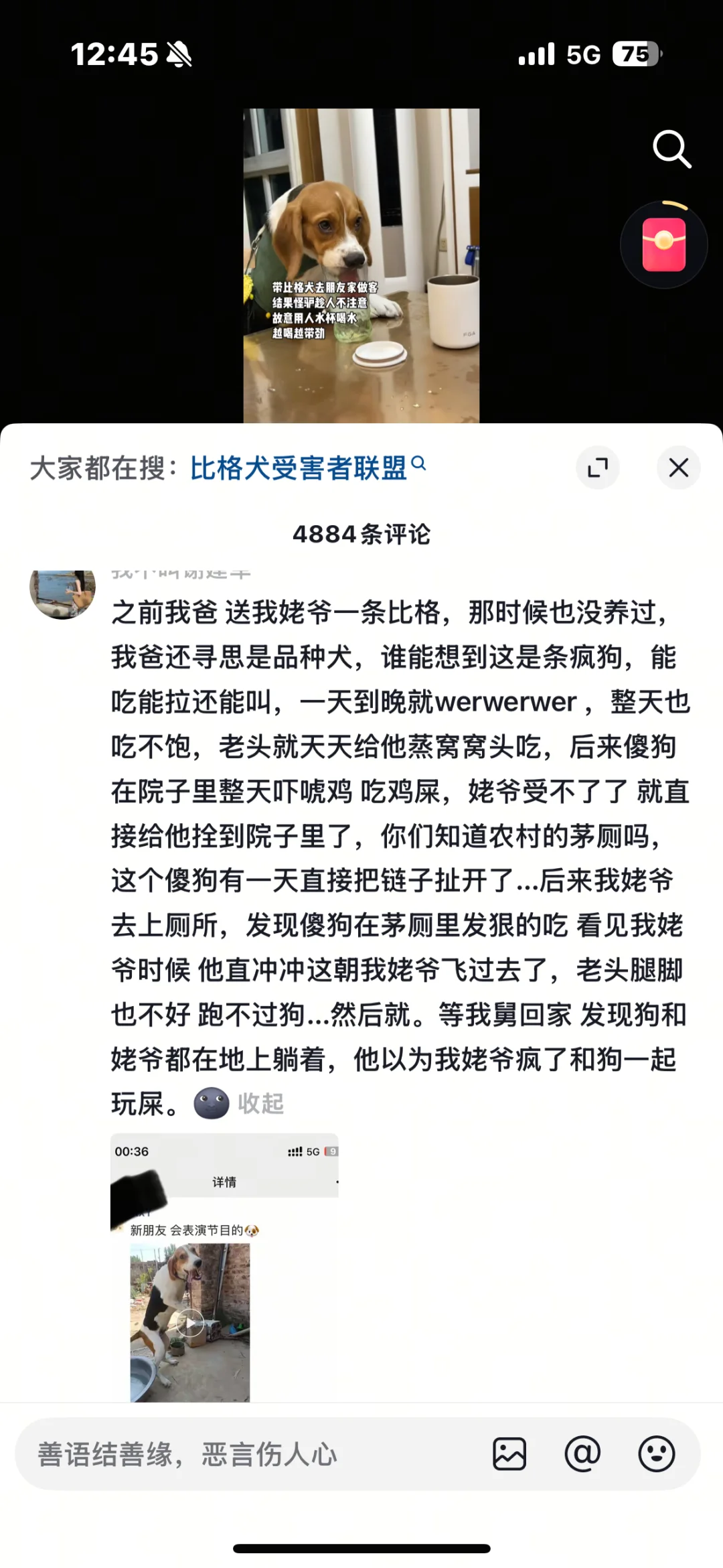 比格新名著
