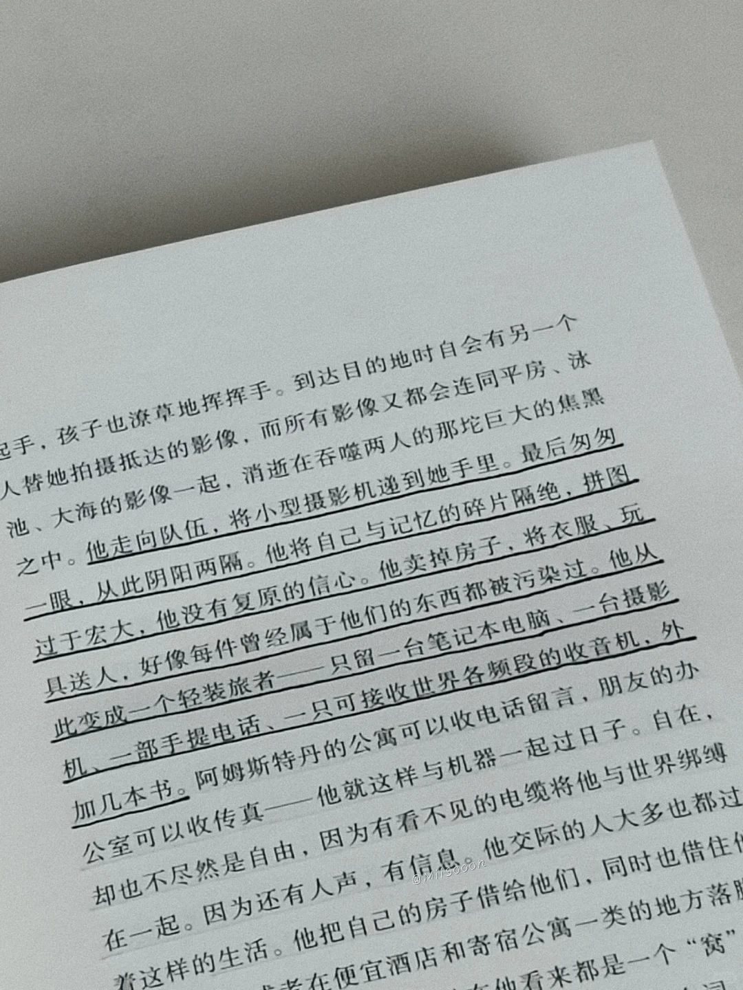 “但或许自由同时也意味着彻底的荒芜。”