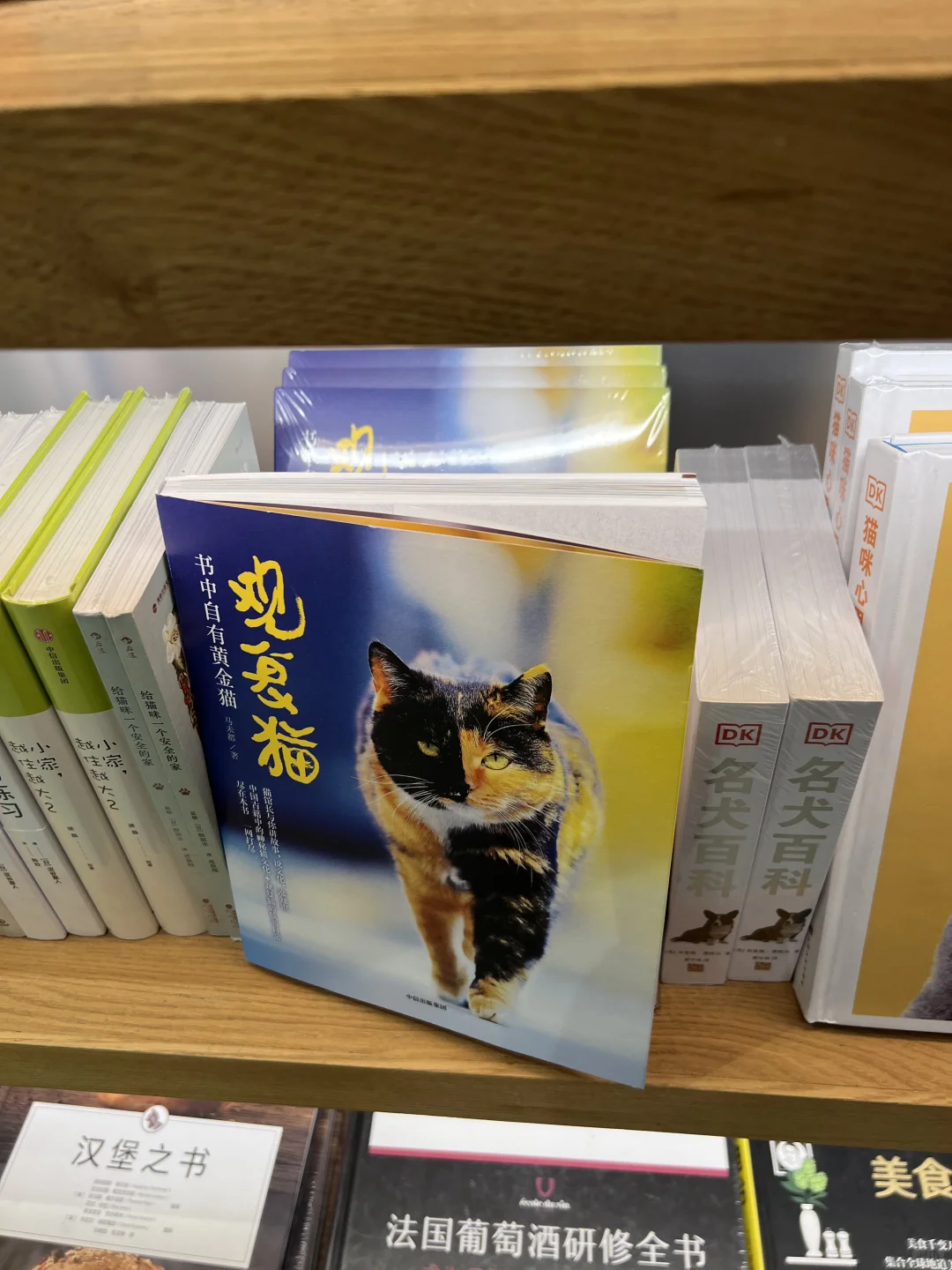 逛中信书店+西西弗书店 7月11日 书单