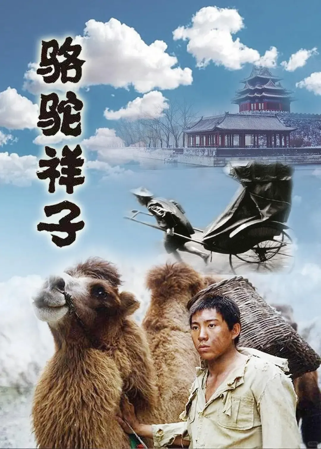 适合小学生阅读的书籍