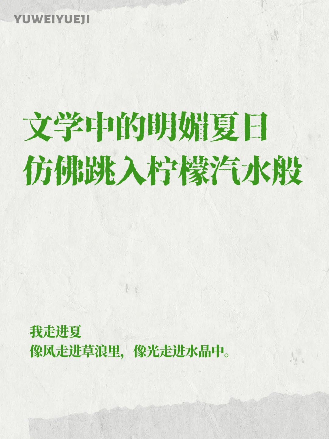 🍋被文字治愈的夏天在字里行间邂逅清凉与