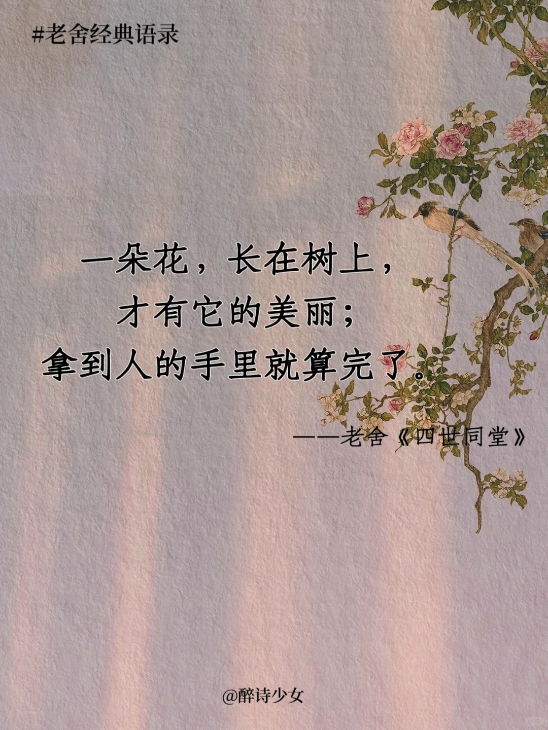 老舍笔下的绝美好句！