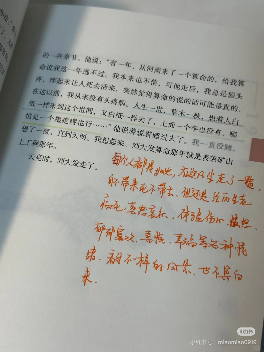 被人民日报种草的这本书太温暖太治愈了😭