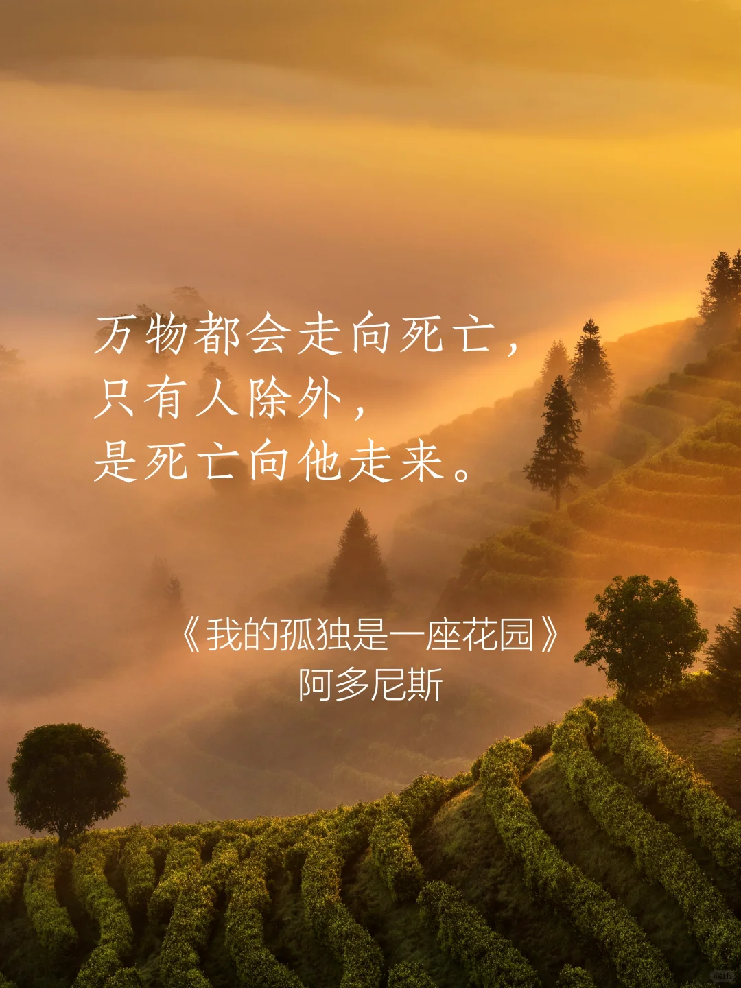 句子很短 后劲很大