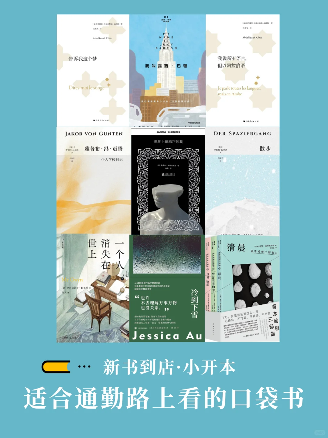 书单推荐📚适合通勤路上看的口袋书 小开本