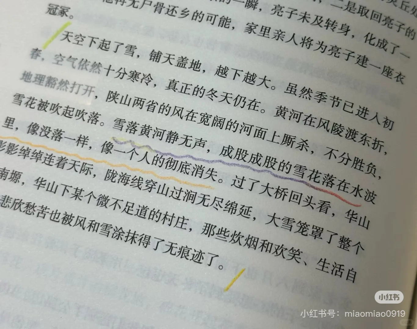 被人民日报种草的这本书太温暖太治愈了😭