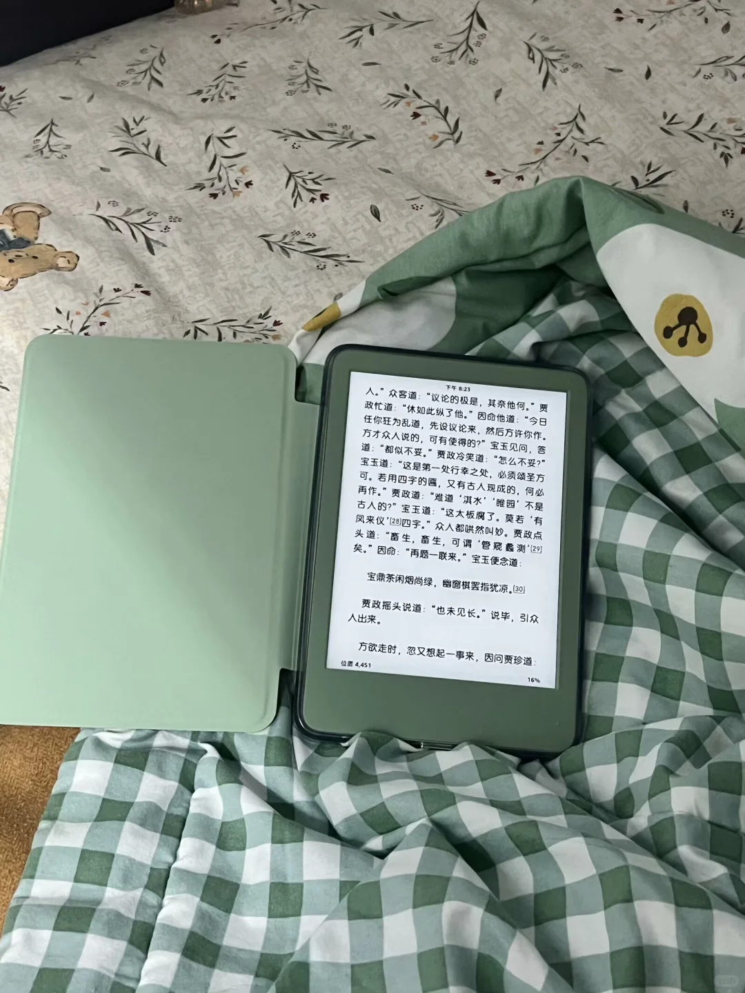 ➗Kindle2024抹茶绿（几乎全新）