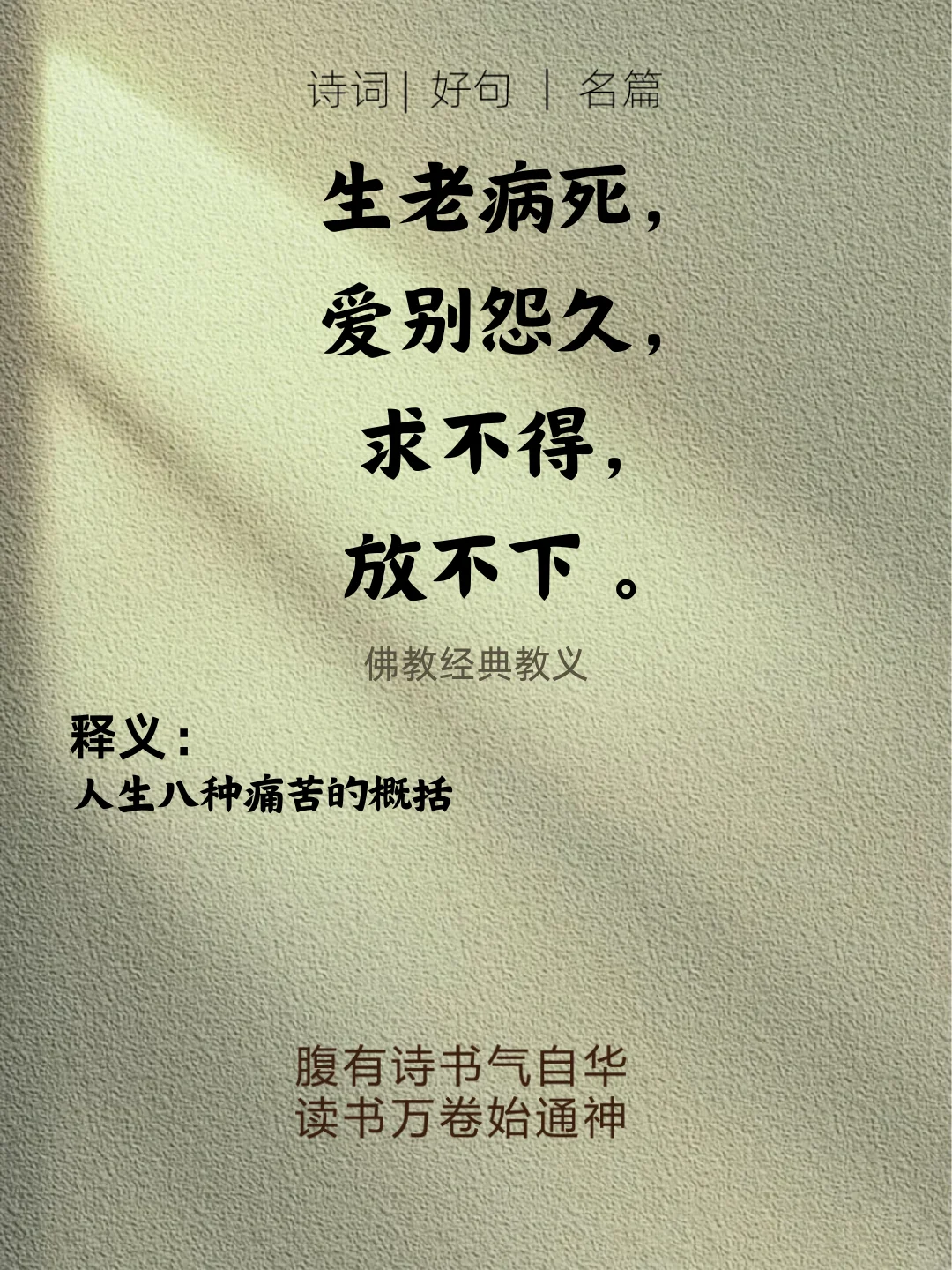 佛家杀疯的经典语录，看完顿悟