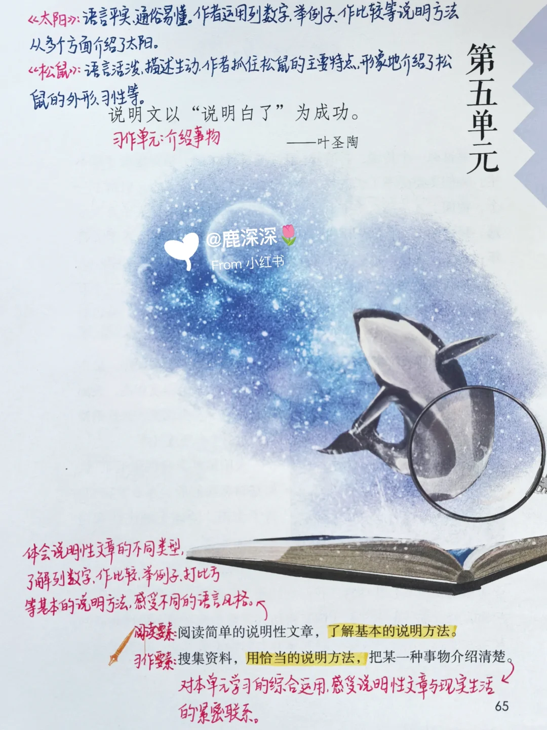 五上1-8单元单元导语解读 | 暑假必读书单