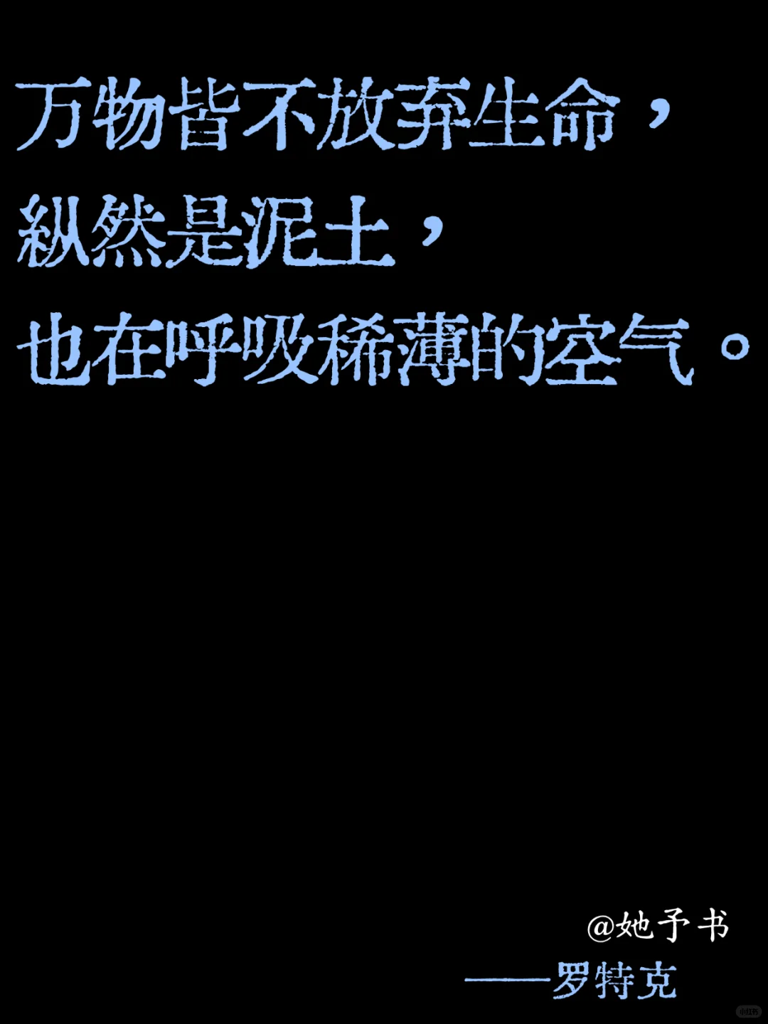 生命教我的事：不必完美，只需真实🌿