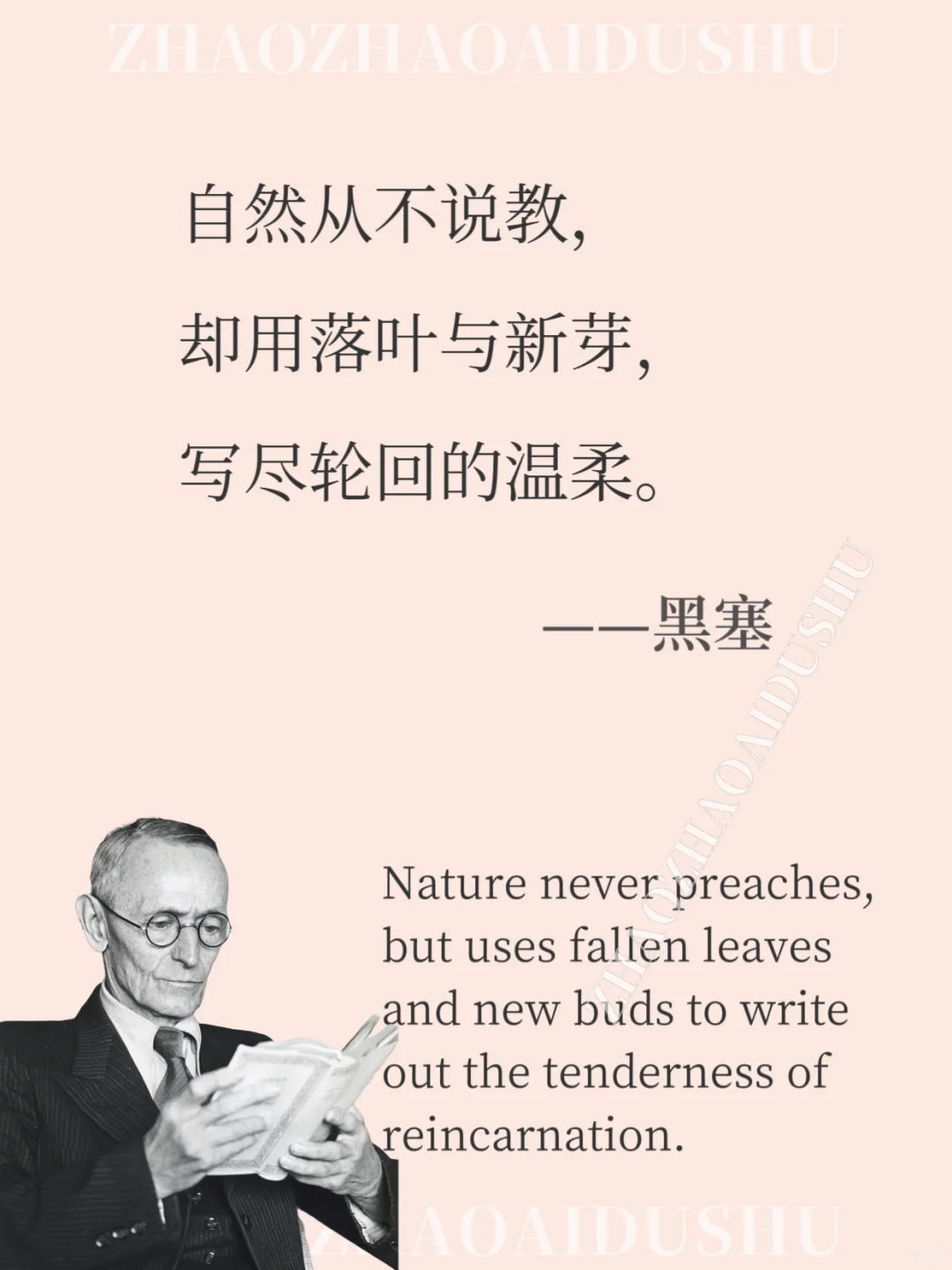 黑塞笔下一眼万年的灵性语录诗意爆棚