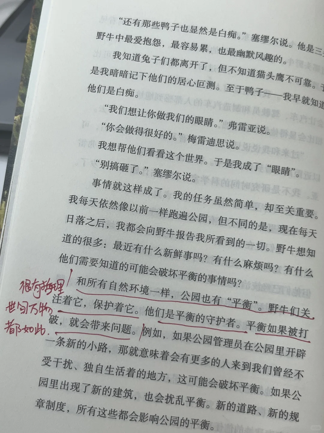 挖到宝了‼️我愿称之为儿童文学天花板！！！