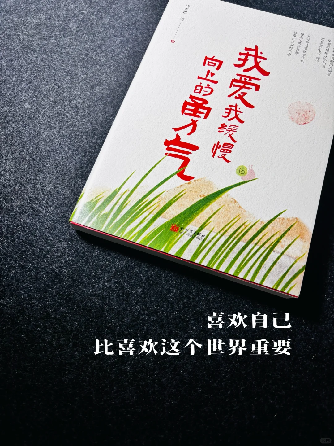 中年牛马的6月份阅读清单，你都读了哪些？