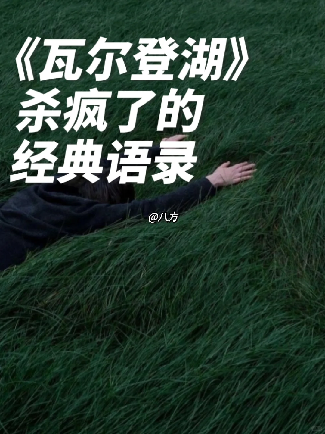 《瓦尔登湖》杀疯了的经典语录