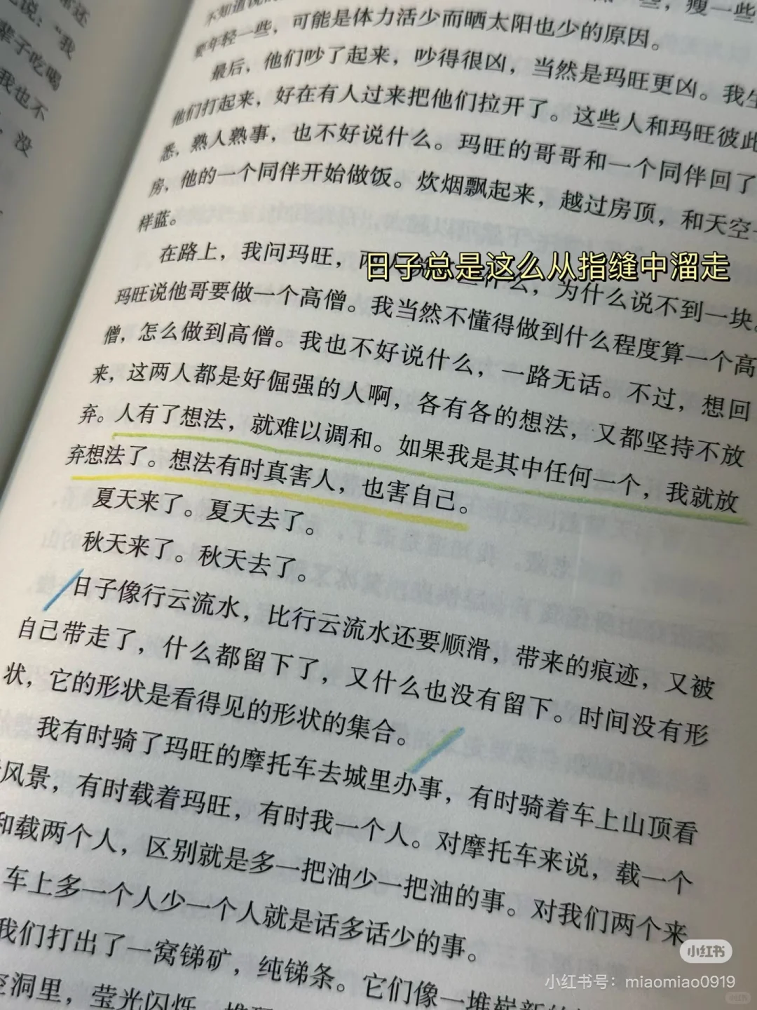 被人民日报种草的这本书太温暖太治愈了😭