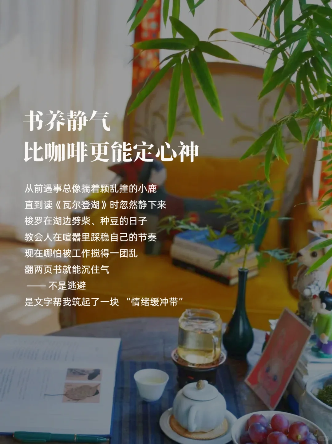 到了一定年纪发现：书，最养人！