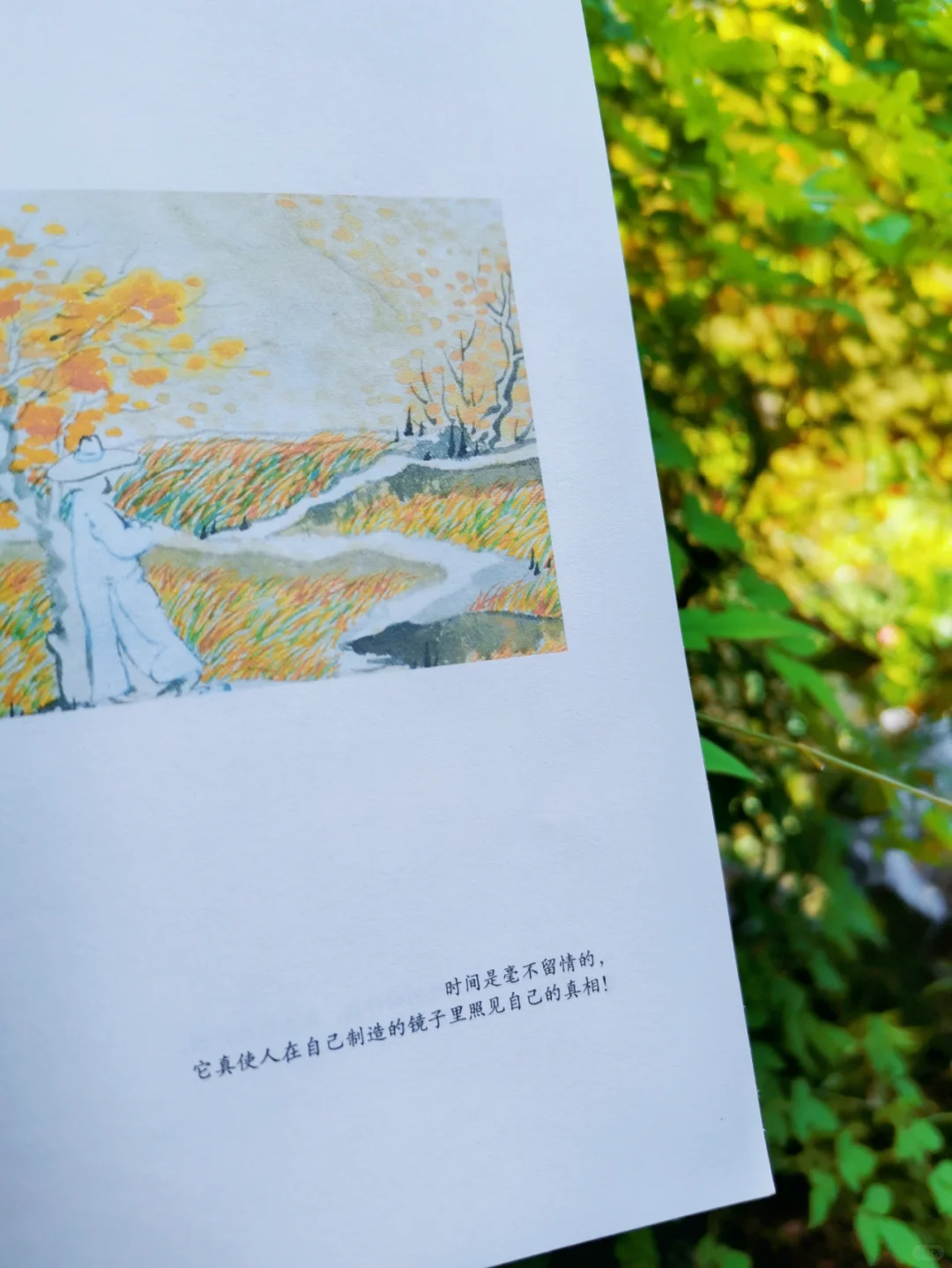 不愧是央视推荐好书|每一篇都值得一读再读