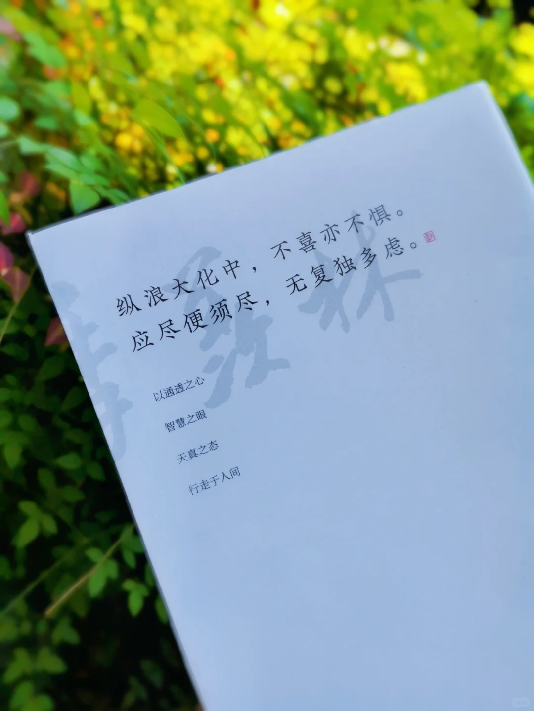 不愧是央视推荐好书|每一篇都值得一读再读