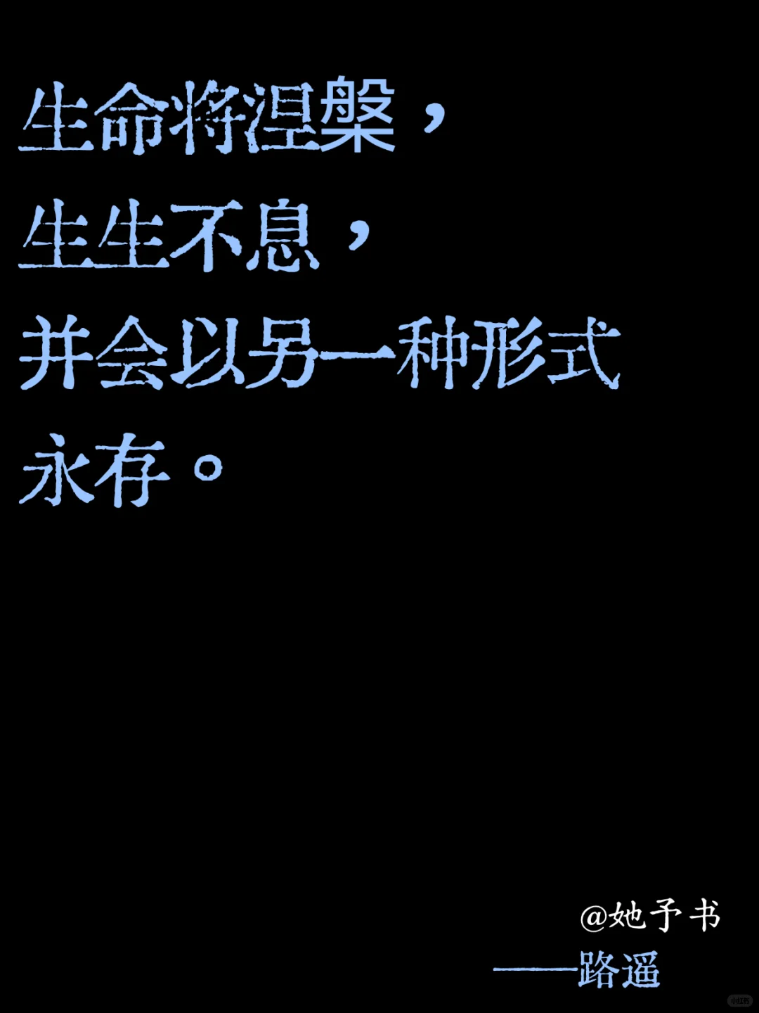 生命教我的事：不必完美，只需真实🌿